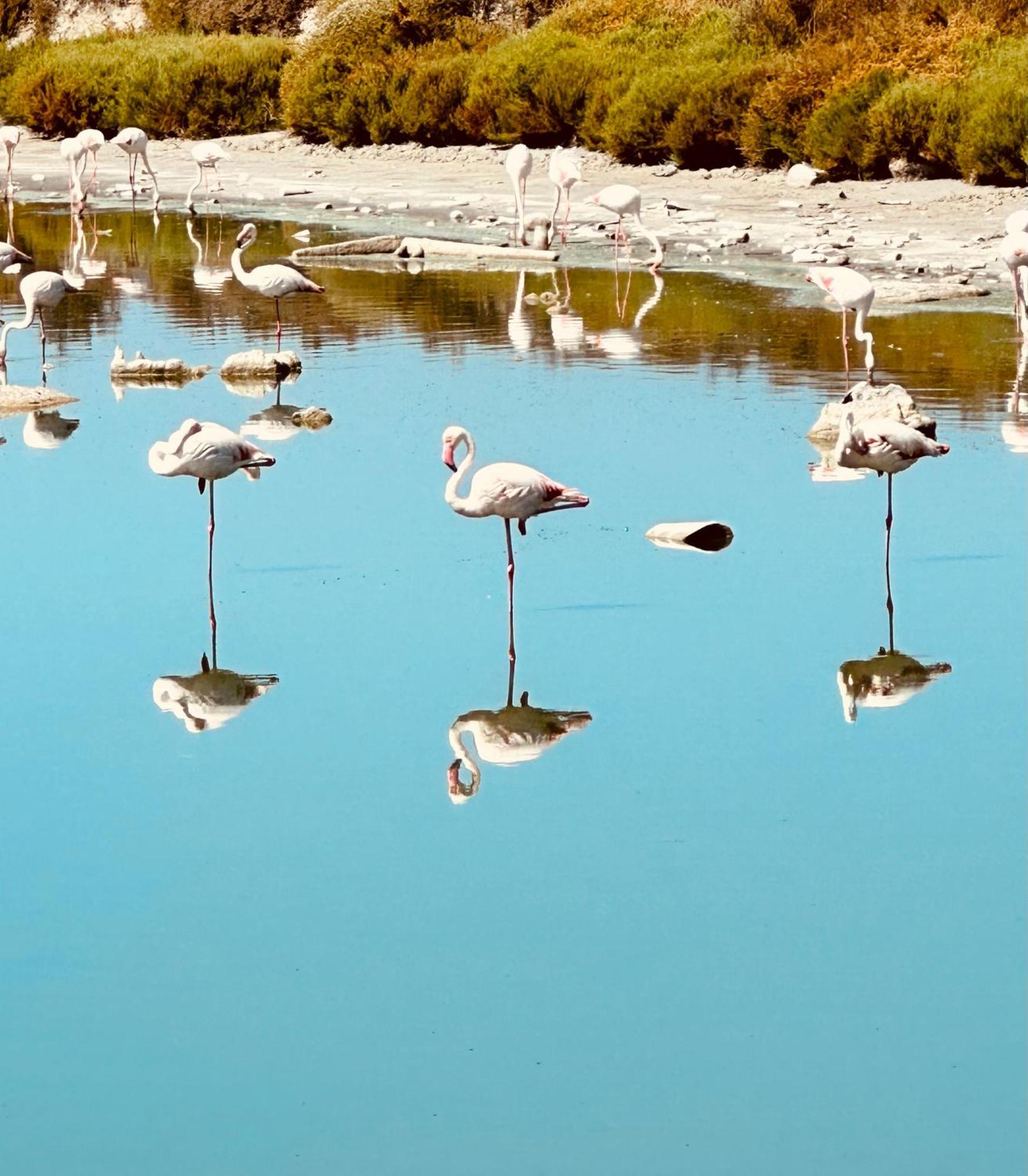 Appartement Climatise Avec Chambre Et Parking Privatif Locations Vld Camargue Сент-Мари-де-ла-Мер Экстерьер фото